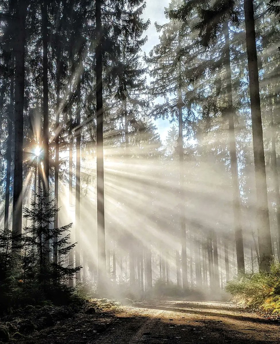 Nature🍃 tweet media