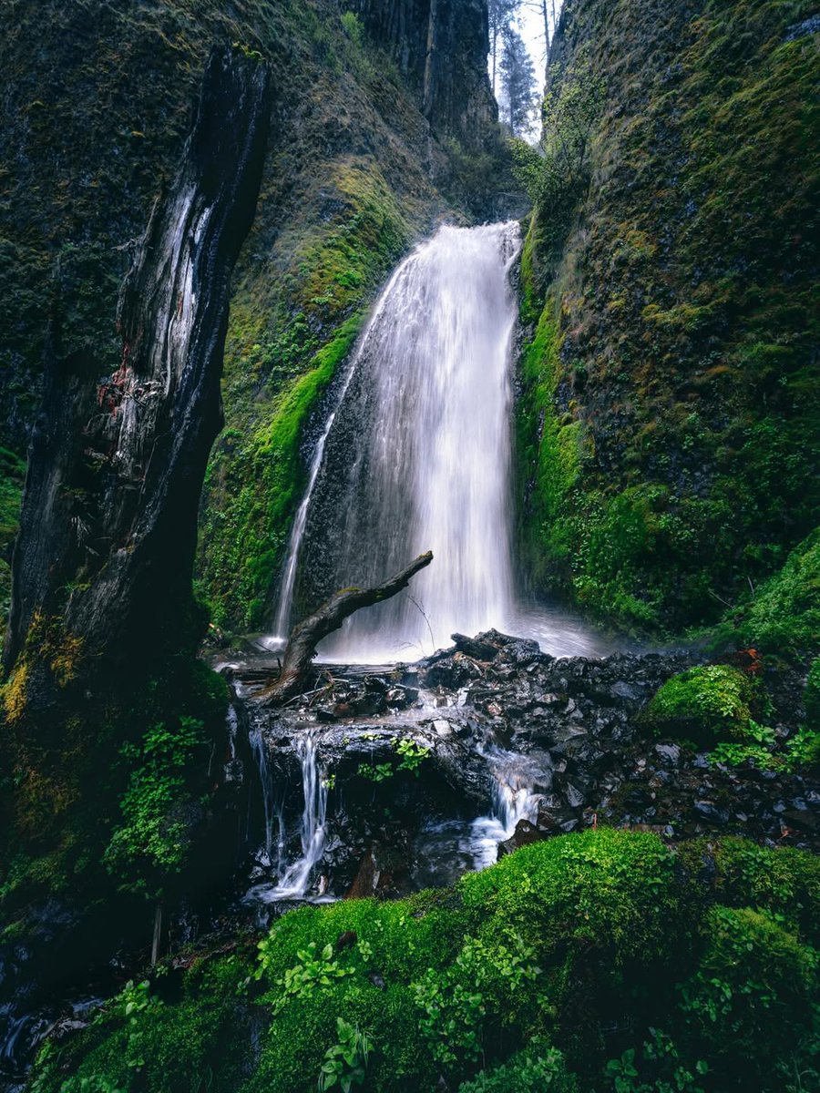 Nature🍃 tweet media