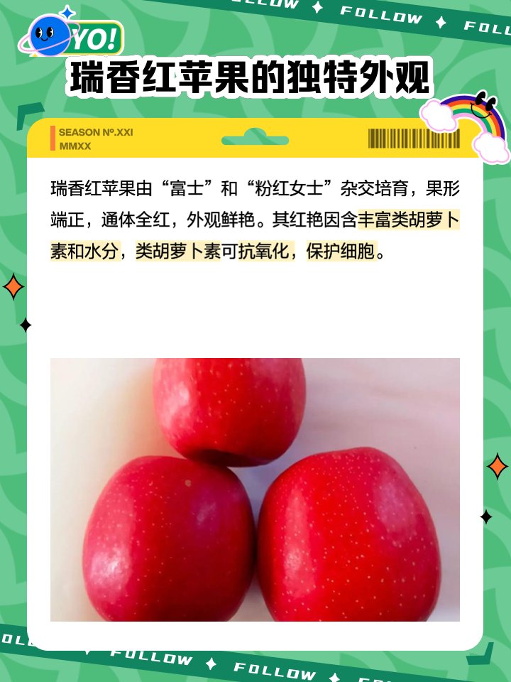 Булгакова Ника tweet media