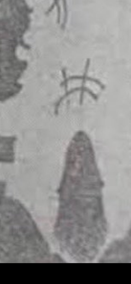 The Sexorcist tweet media