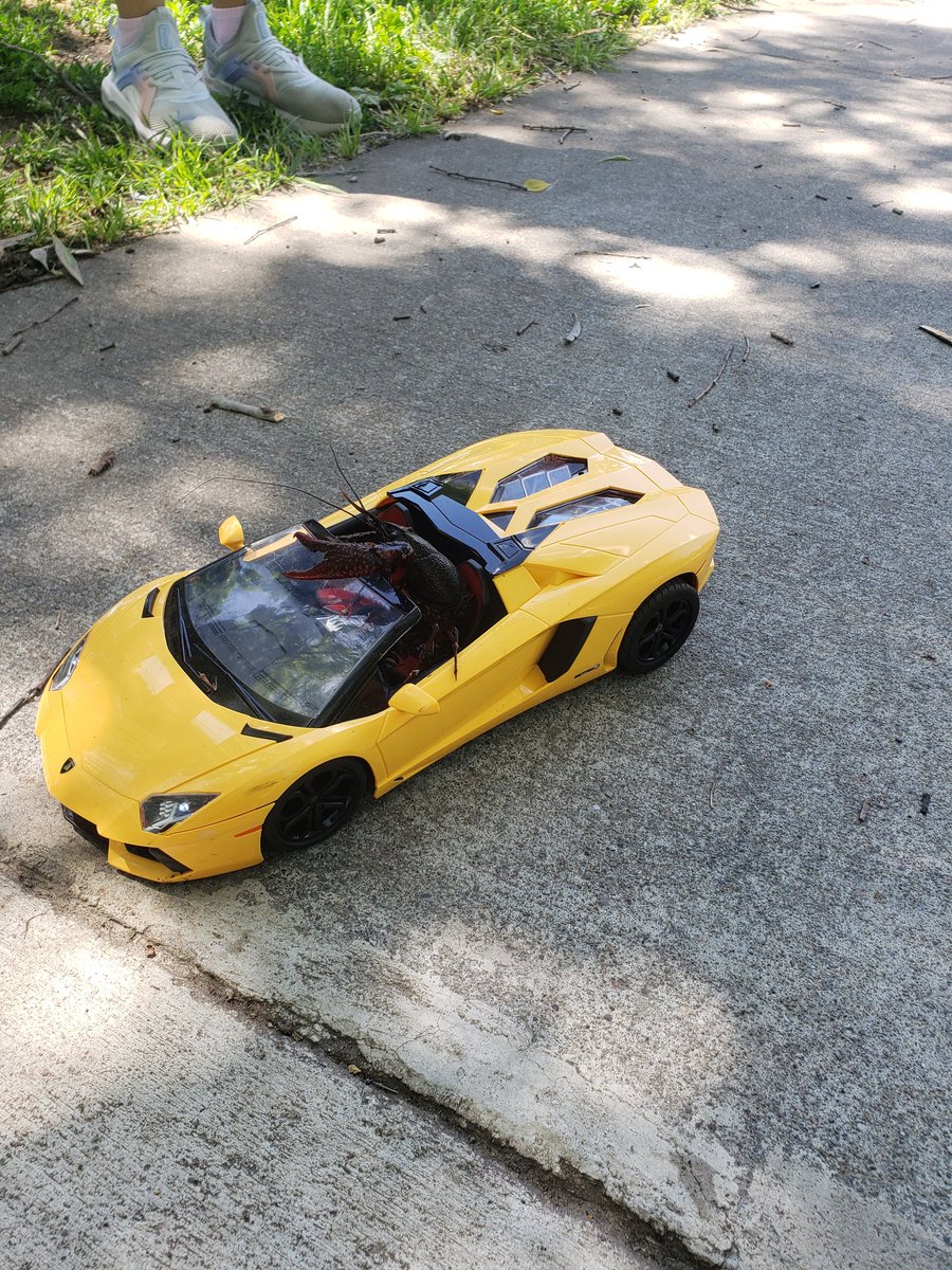 ApeOfMainStree1's tweet photo. There will be signs.
@lobstr when Lambo? 🤣 🦞
#Lobstr #Stellar #Ripple $XRP $XLM https://t.co/niiWAhC0Jq