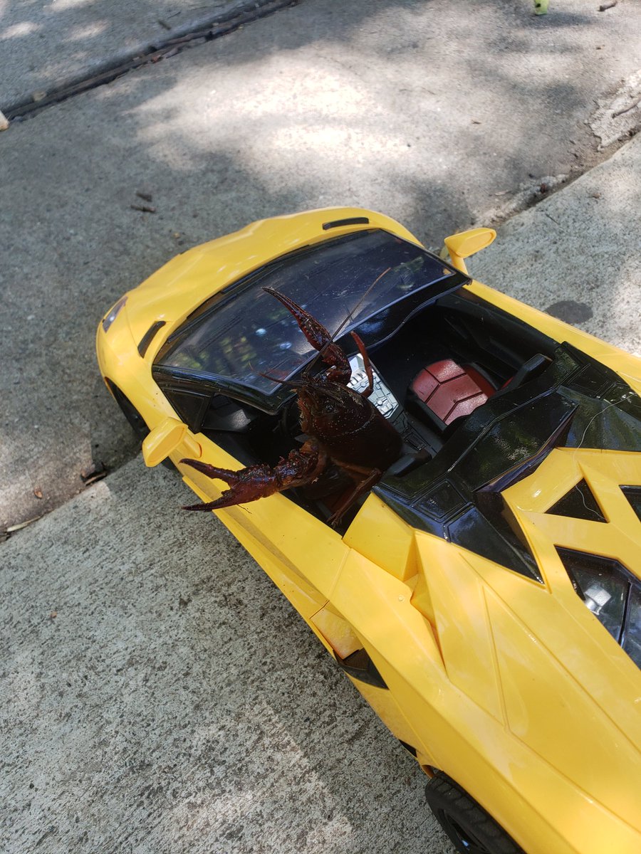 ApeOfMainStree1's tweet photo. There will be signs.
@lobstr when Lambo? 🤣 🦞
#Lobstr #Stellar #Ripple $XRP $XLM https://t.co/niiWAhC0Jq