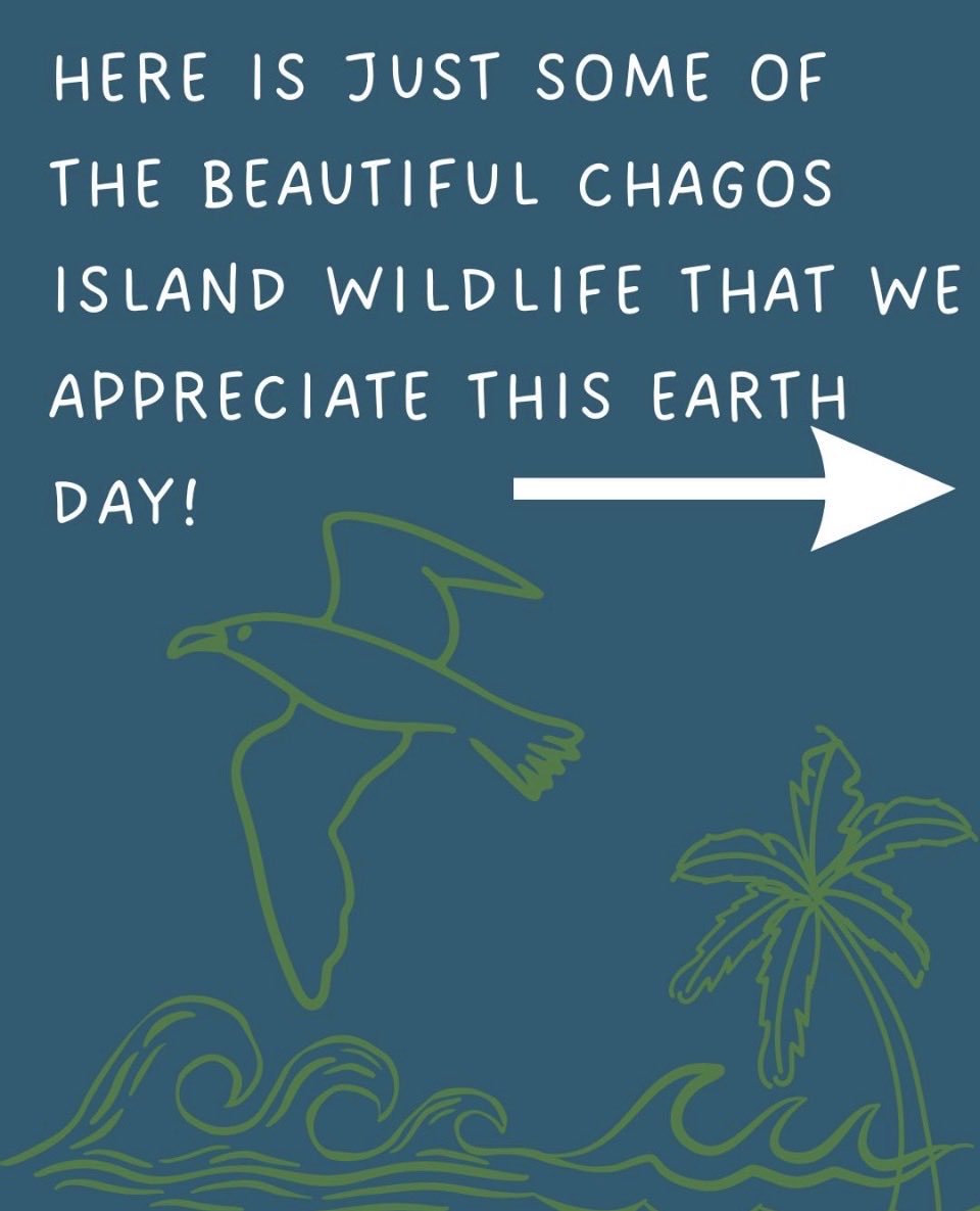 Chagos Conservation Trust tweet media