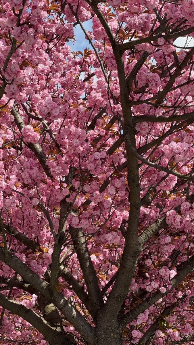 Richard Woodruff 🇺🇦 tweet media