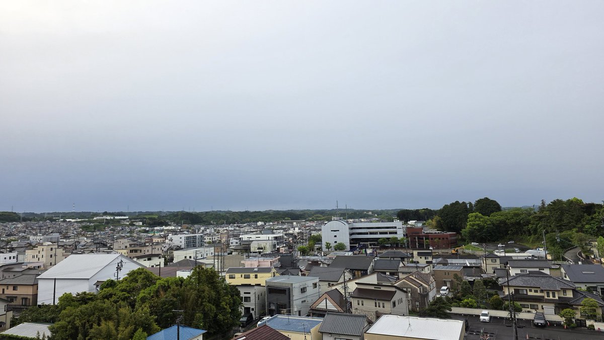 ノラ🍖🎹🍚🍑🗻 tweet media