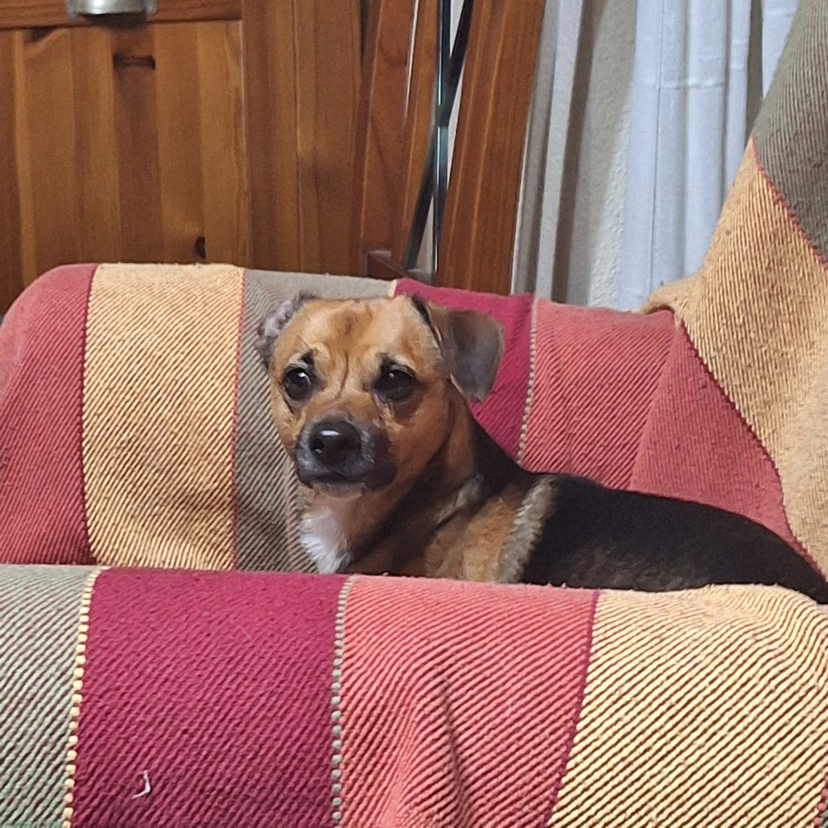 𝐱𝐞𝐞𝐬𝐤𝐢𝐢 𐔌՞. .՞𐦯 ᢉ𐭩.ᐟ🍓 tweet media