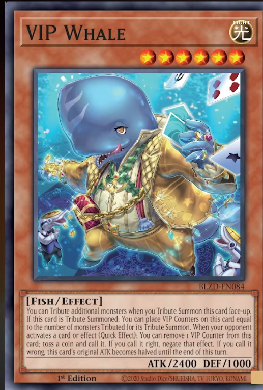 Jesse Kotton tweet media