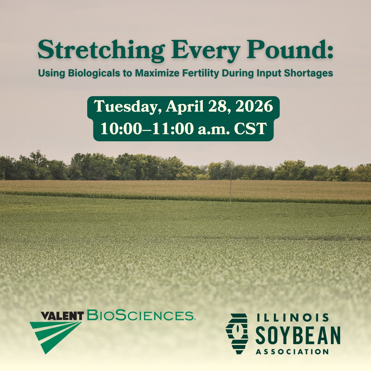Illinois Soybean Association tweet media