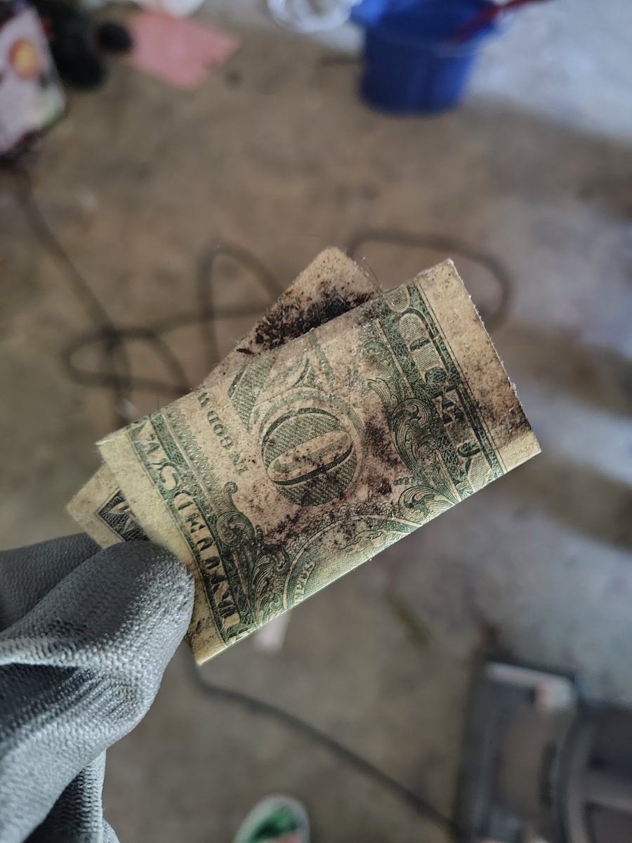 Kala 🏳️‍⚧️🐾 tweet media