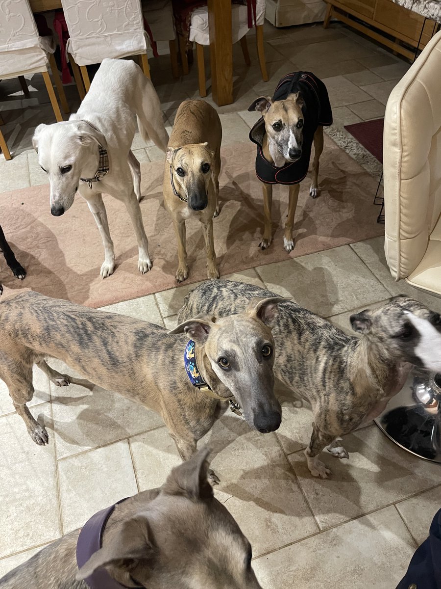 Kai 🌈& Co tweet media