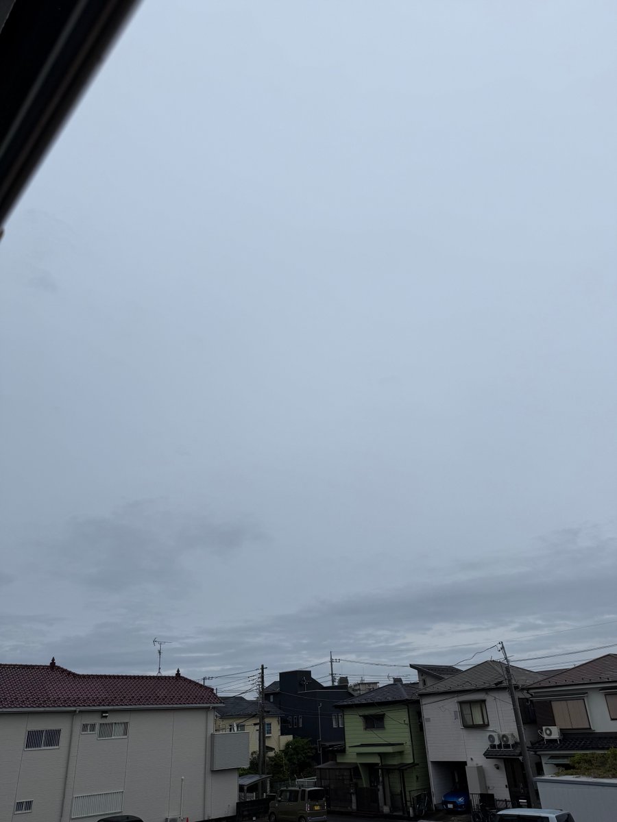 ⭐︎みい®︎⭐︎🐶🐱🚘🏍️ tweet media