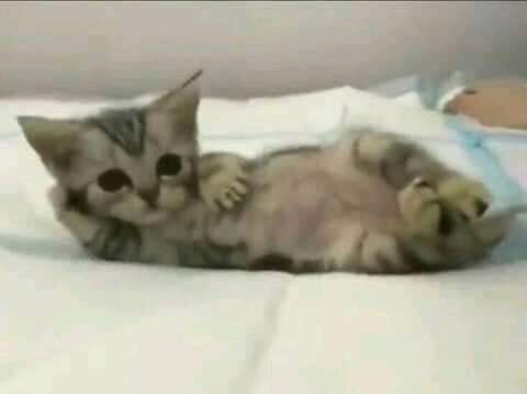 encuentren las diferencias