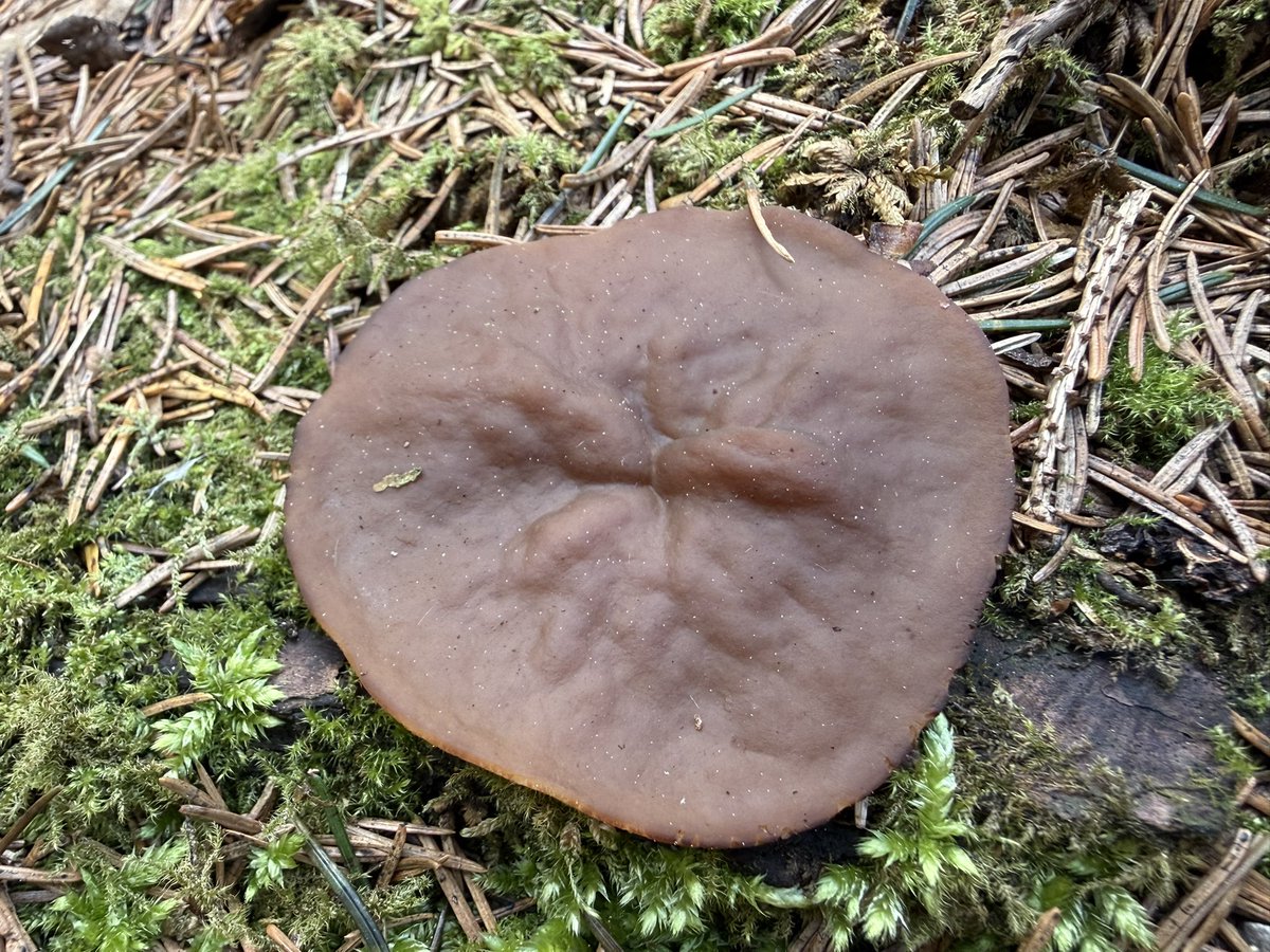 R  ⭕️ K tweet media