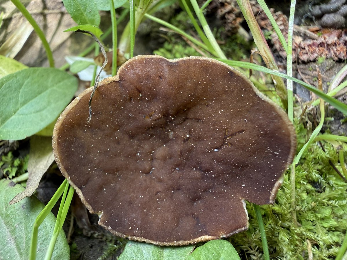 R  ⭕️ K tweet media