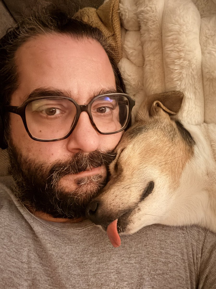 Arash Guitoo (آرش گیتو) tweet media