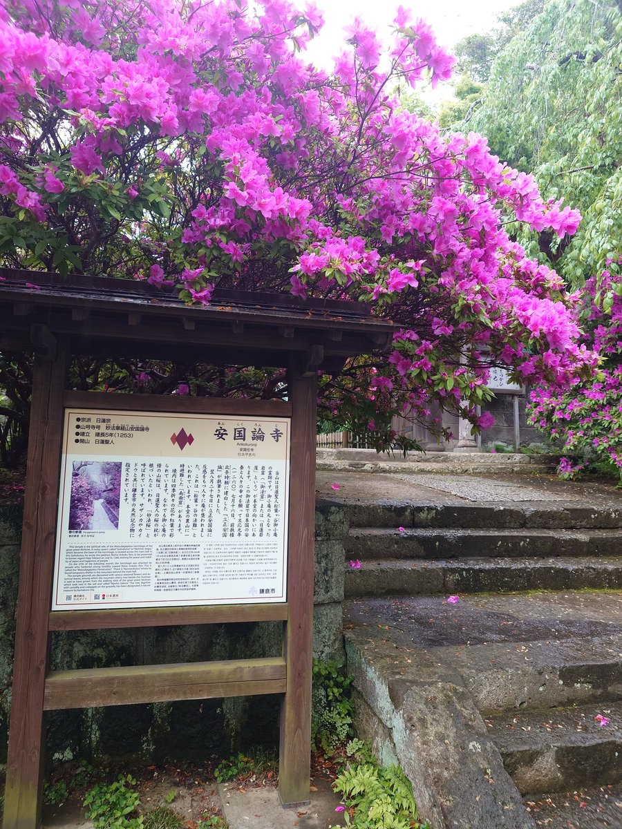 阿知和賢 tweet media