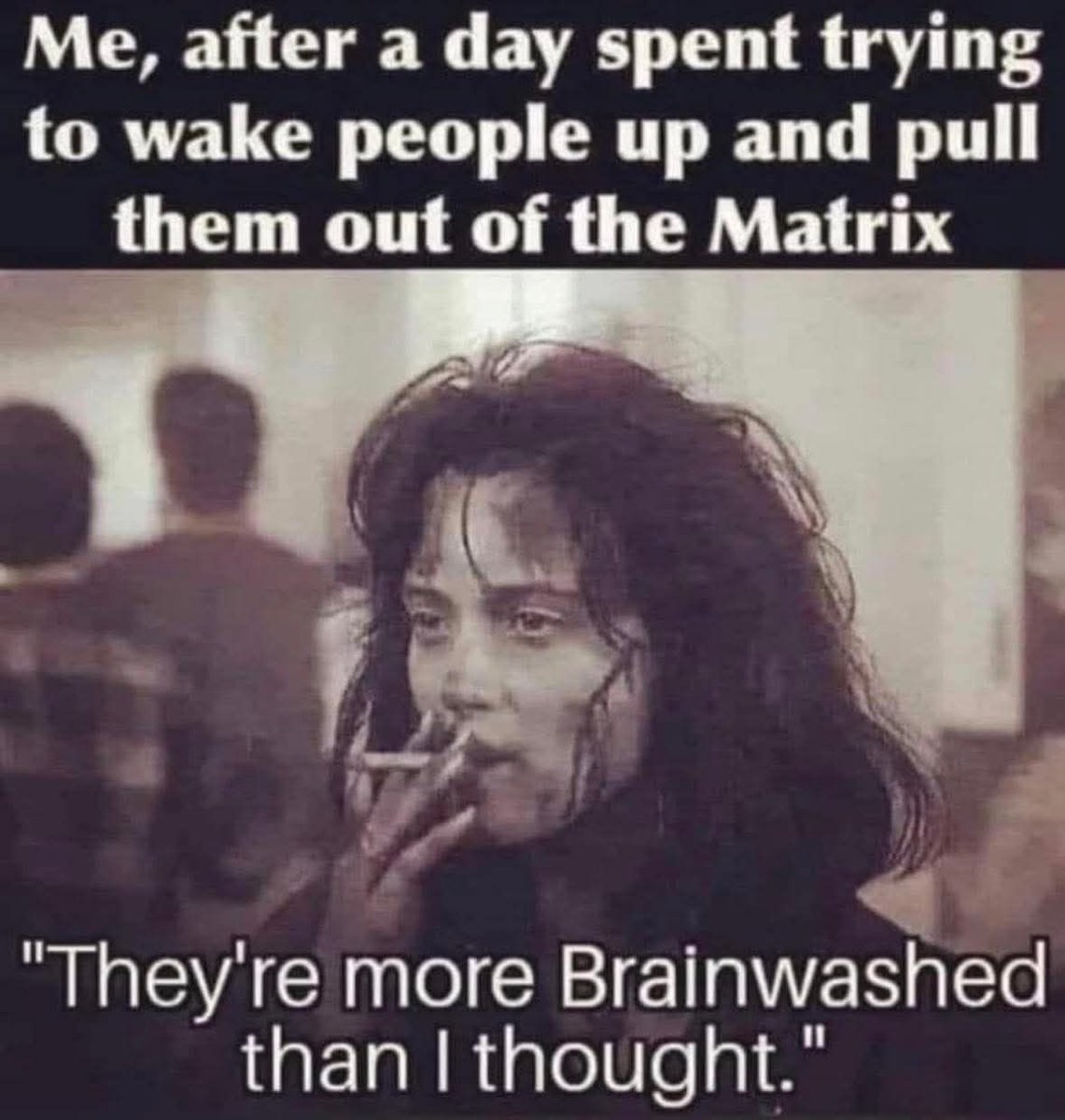 David Wolfe tweet media