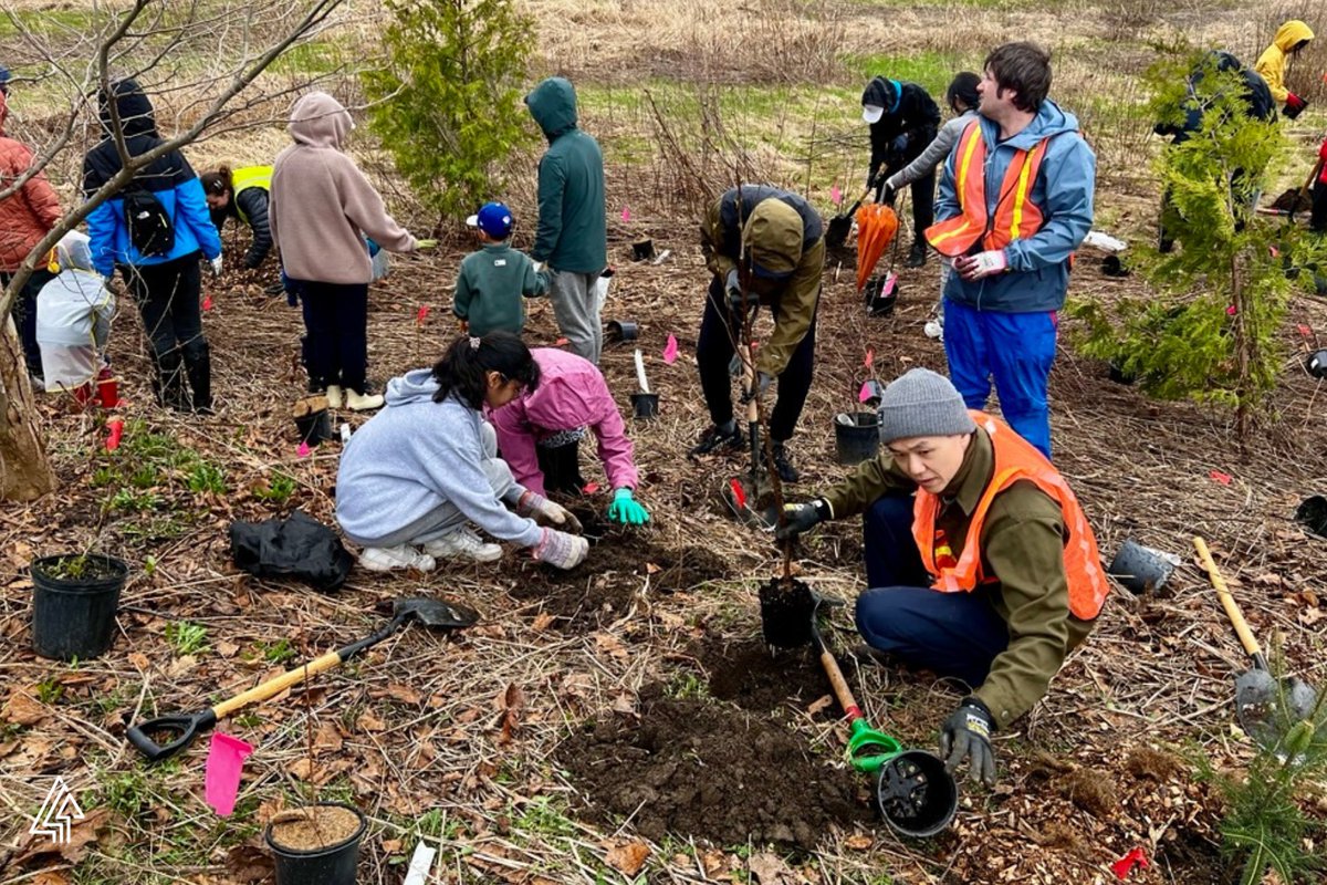 Forests Canada tweet media