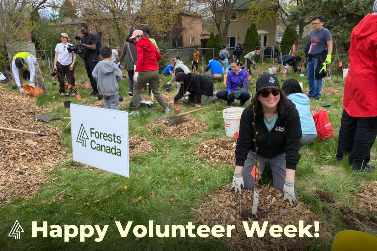 Forests Canada tweet media