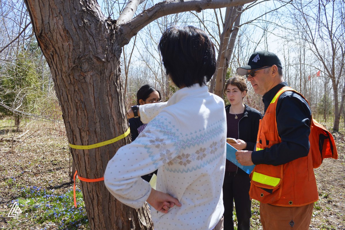 Forests Canada tweet media