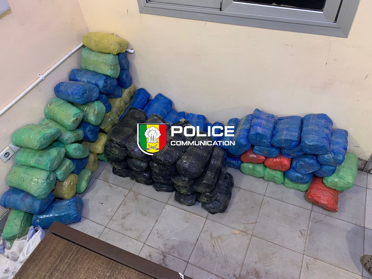 PoliceNationSN's tweet photo. #LutteAntiDrogue | L'#OCRTIS frappe fort dans le centre du pays !
108 kg de chanvre indien saisis à #Fatick et #Kaolack. 01 convoyeur interpellé et sa moto saisie. 03 fugitifs activement recherchés.
La Police nationale, actrice de votre sécurité.
#PoliceSN #Kebetu https://t.co/lK0J3Taw2p