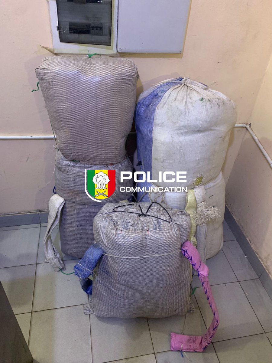 PoliceNationSN's tweet photo. #LutteAntiDrogue | L'#OCRTIS frappe fort dans le centre du pays !
108 kg de chanvre indien saisis à #Fatick et #Kaolack. 01 convoyeur interpellé et sa moto saisie. 03 fugitifs activement recherchés.
La Police nationale, actrice de votre sécurité.
#PoliceSN #Kebetu https://t.co/lK0J3Taw2p