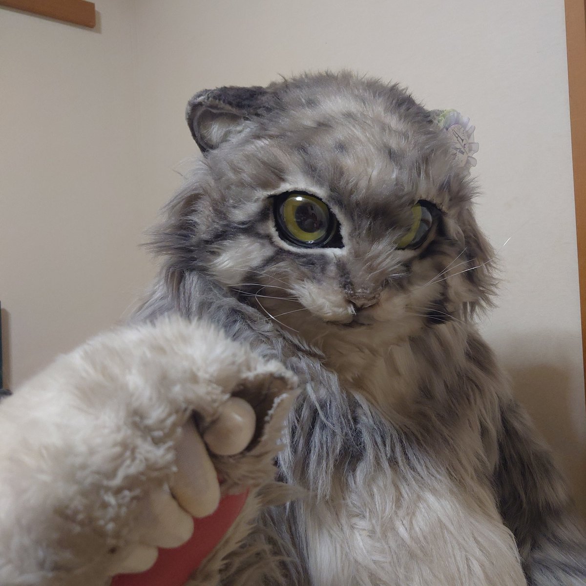 ンヤダグ(雷撃猫's桐緒)🍴 tweet media