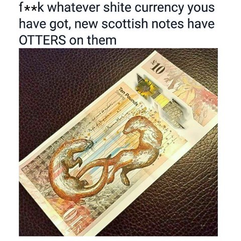 In_Otter_News2's tweet image. Scottish currency is awesome...