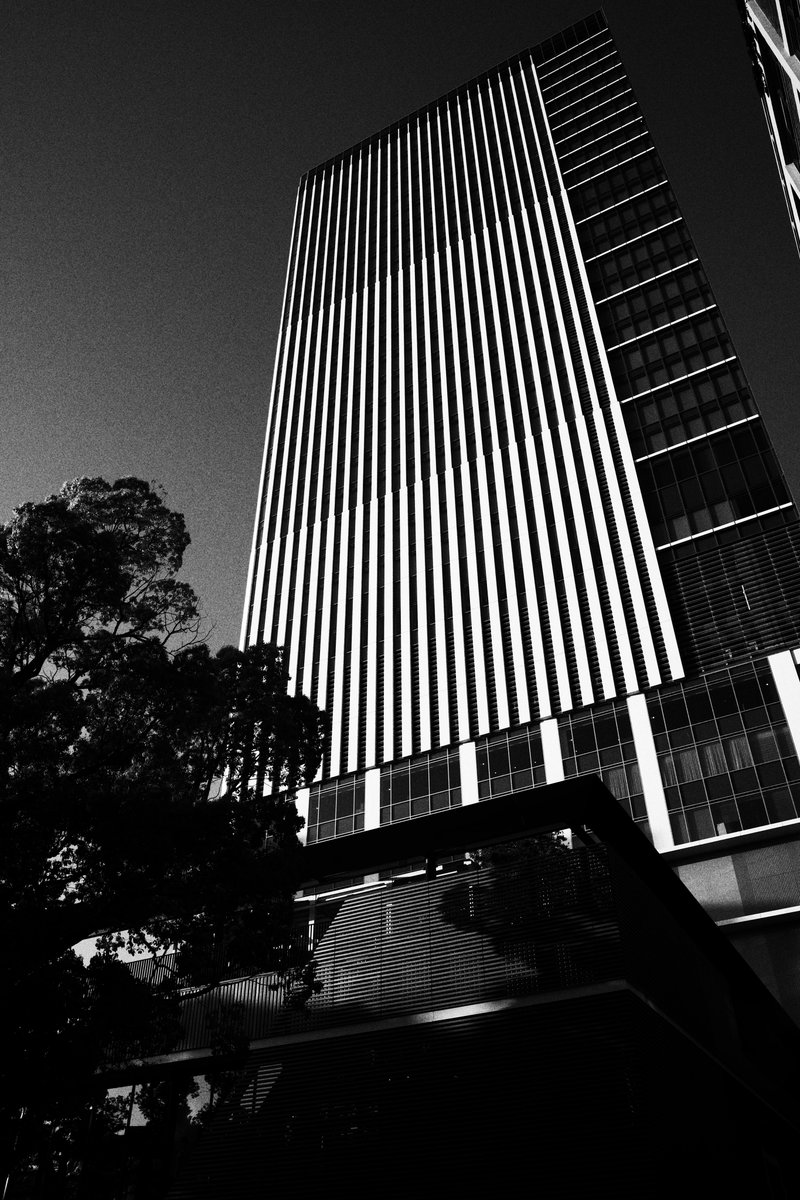 tddch7's tweet image. #RICOHGR4Monochrome 
#monochrome
#blackandwhite