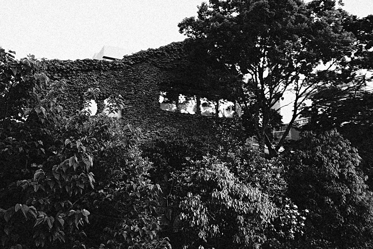 tddch7's tweet image. #RICOHGR4Monochrome 
#monochrome
#blackandwhite