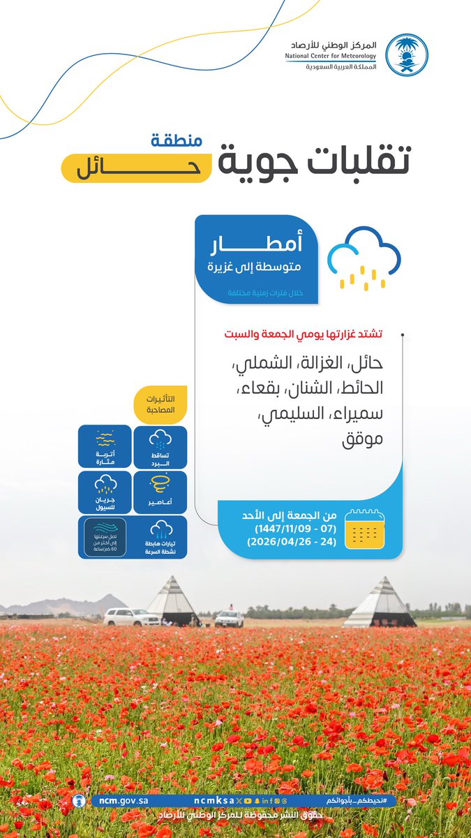 إمارة منطقة حائل tweet media