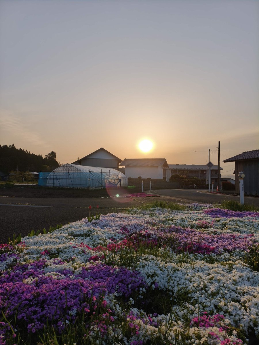 おはようございます🕕️
気持ちの良い太陽☀
相変わらずぺっこ寒いですけど😅

ドラマ好き…新ドラマ出揃った！
タイムトラベル的なドラマ多い🤔
過去を変えると未来も変わってしまうので変えてはダメ…が、やり直せるならやり直したい…もっと勉強してれば・告白しておけばとかね😇

本日もやんべに😊