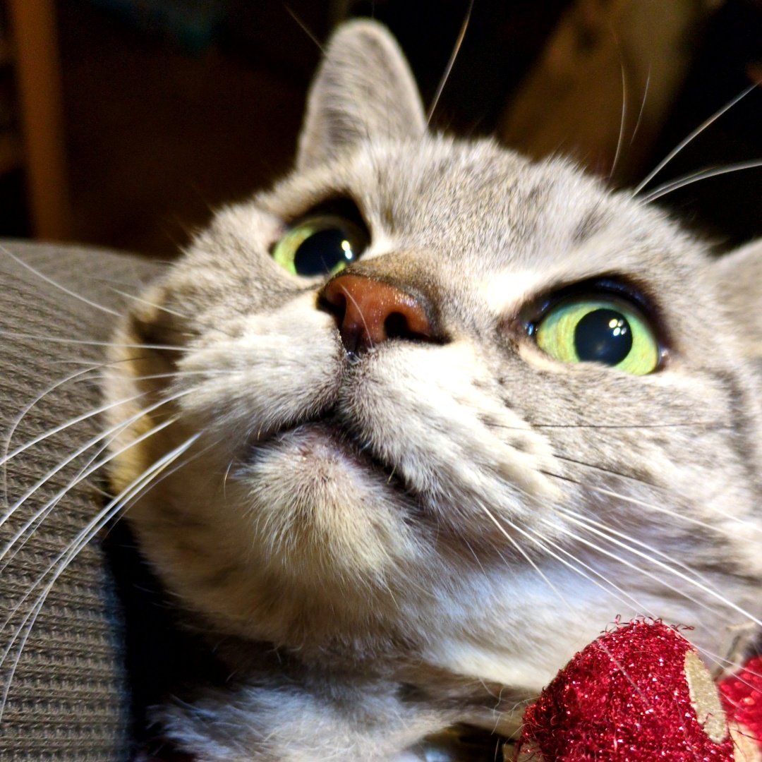 OSM57🌞 tweet media