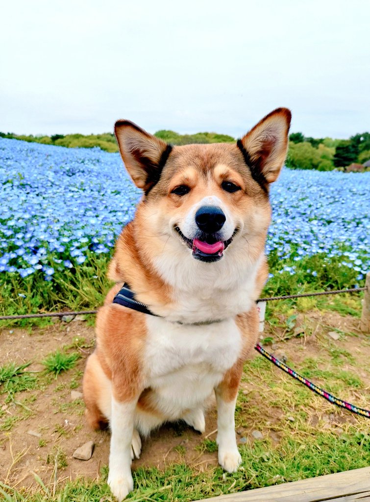 ロアンヌ☪︎*。꙳ tweet media