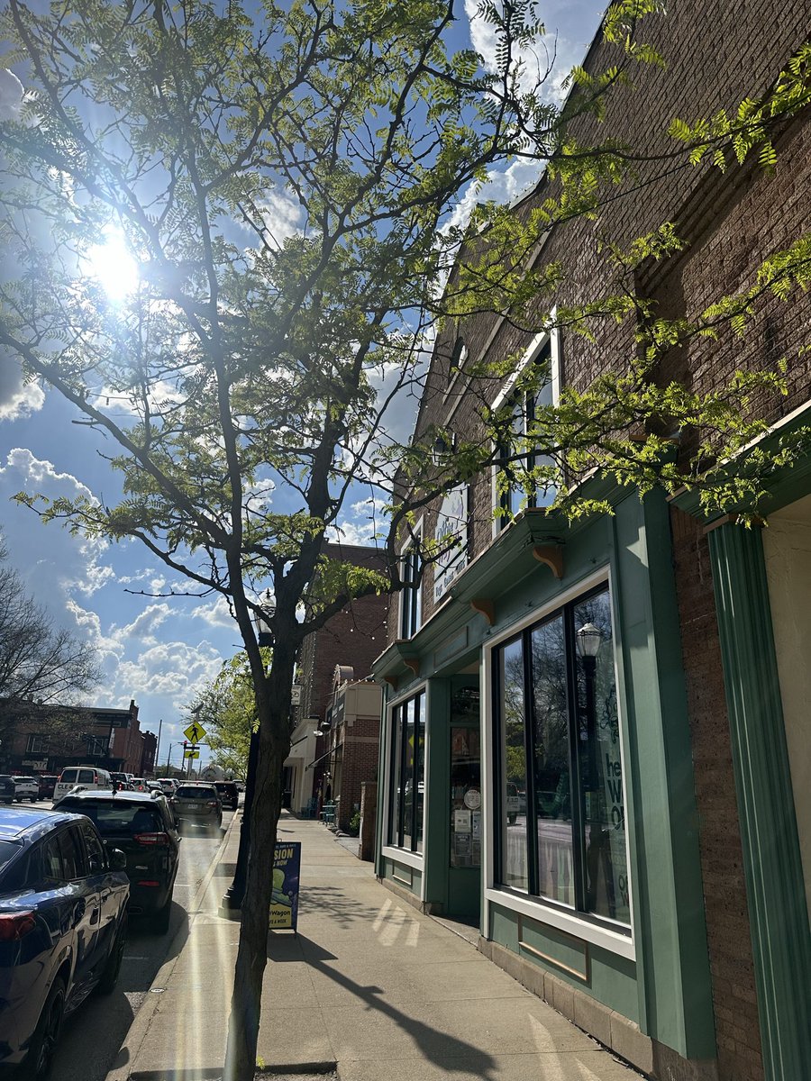 the_mighty_bee_'s tweet image. The flower shop my property, Mary’s business, the toy store I started in the mid 90s, Monarca I named in 96 we planned that going in there (yo soy 🇲🇽) -how does #Tim now “own” #Cups and #OffTheWagon the two businesses I left him to #caretake @IRSnews @RealUSJAG @OHSupremeCourt