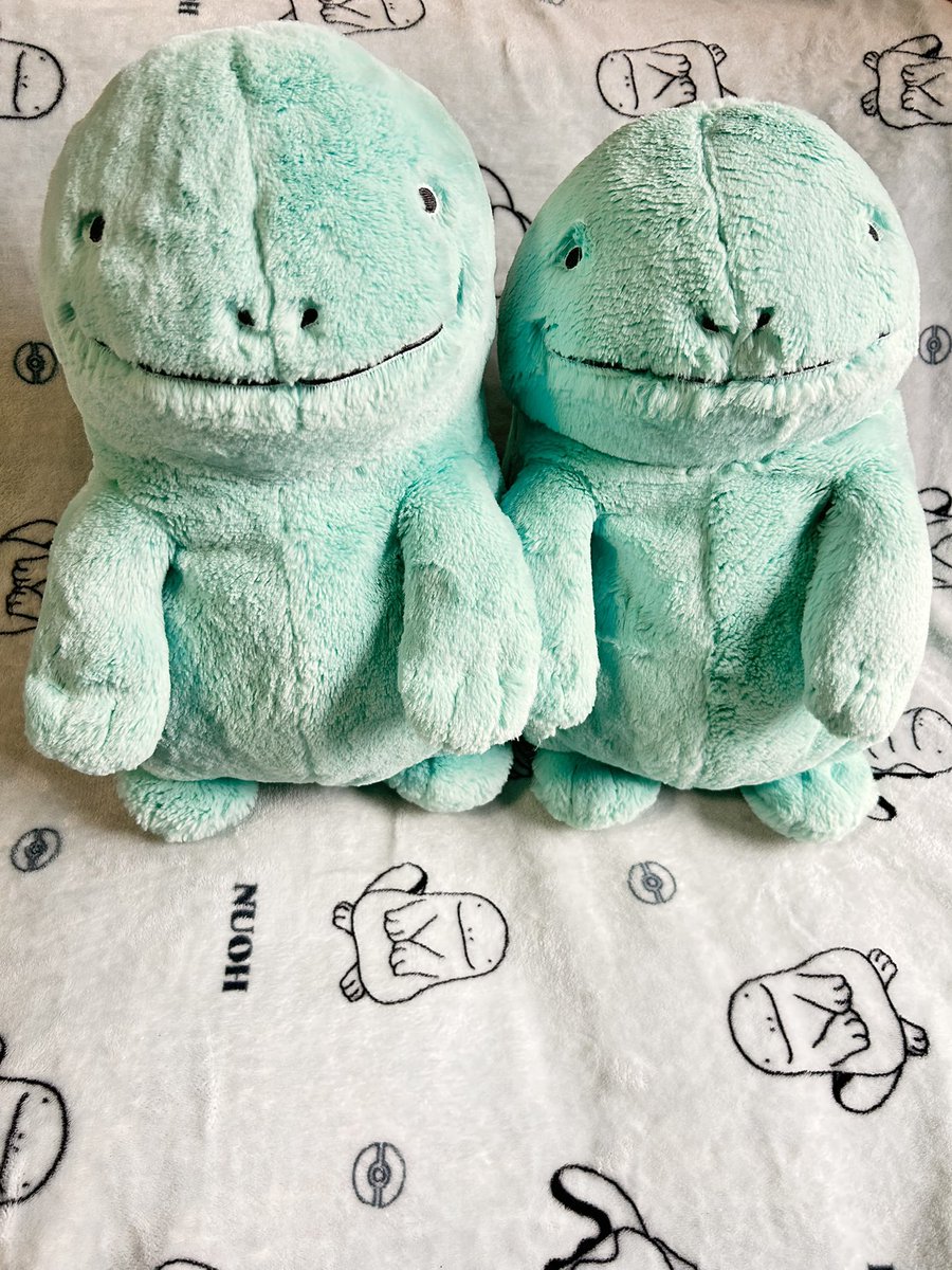 あさみとごあたちの日常🌈 tweet media