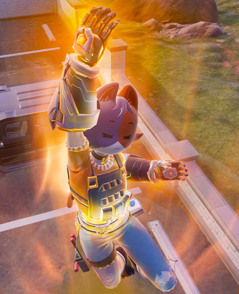 Daily Cate Meowdy tweet media