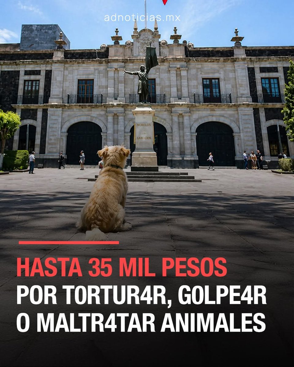 Adn noticias  publicó
🐾 | Edomex castigara con multas y arrestos todo aquel que maltrate a perros.

El Congreso del Estado de México avaló la nueva Ley de Bienestar Animal, que reconoce a los animales como seres sintientes y fortalece su protección.