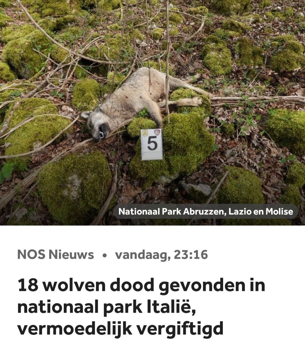 Jos Grekker tweet media