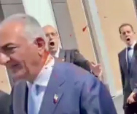 Maple Tree tweet media