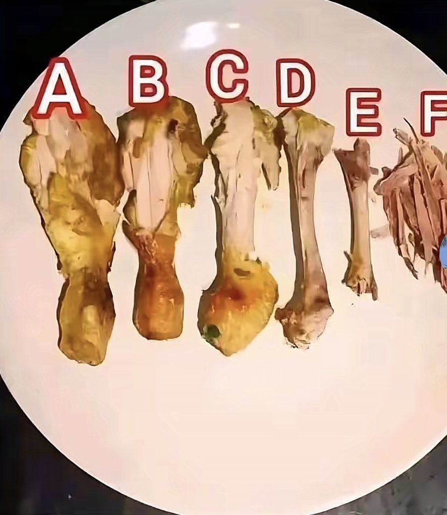 DEFIMAYOR tweet media