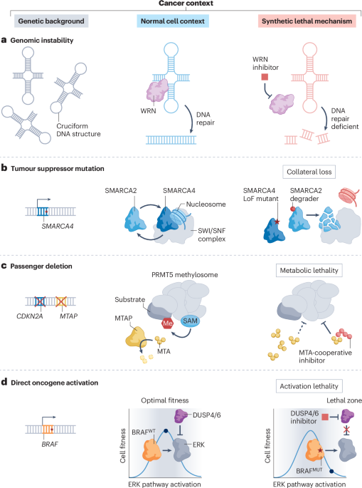Nature Reviews Cancer tweet media