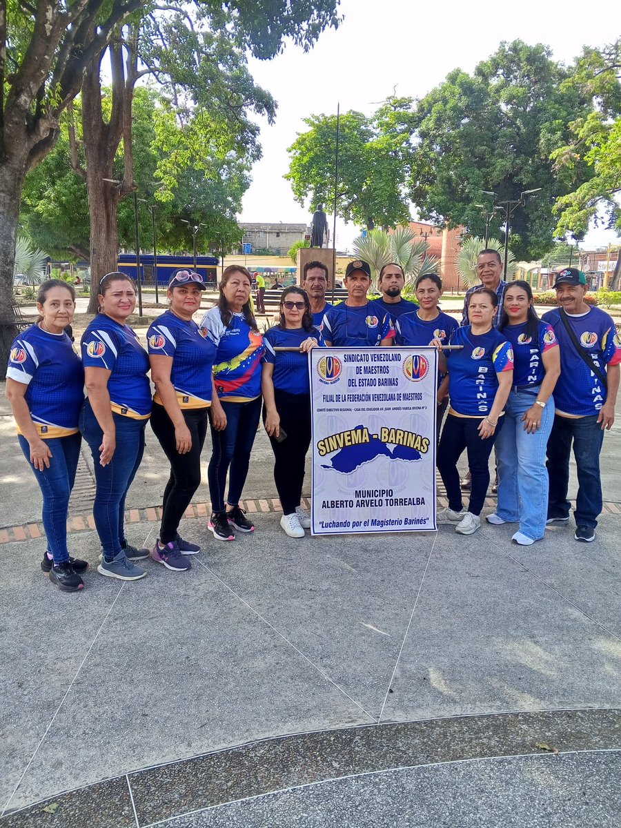 ObservatorioVEL tweet media