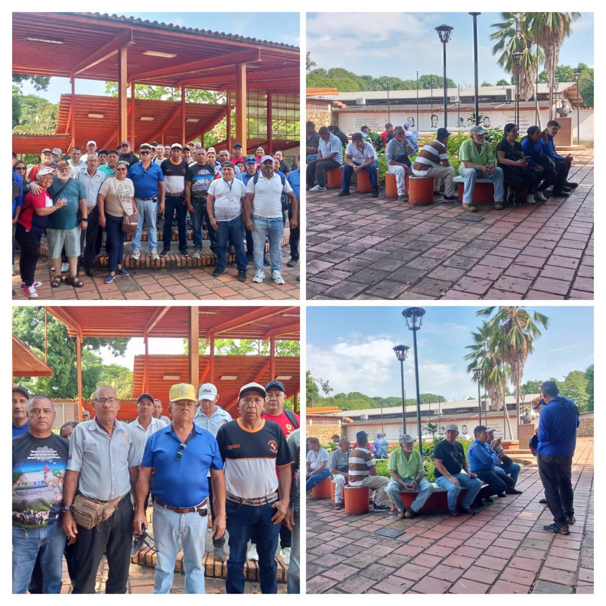 ObservatorioVEL tweet media