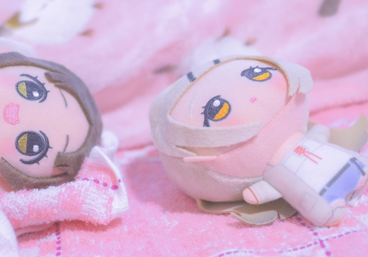 大葉しそ(ぬい活) tweet media