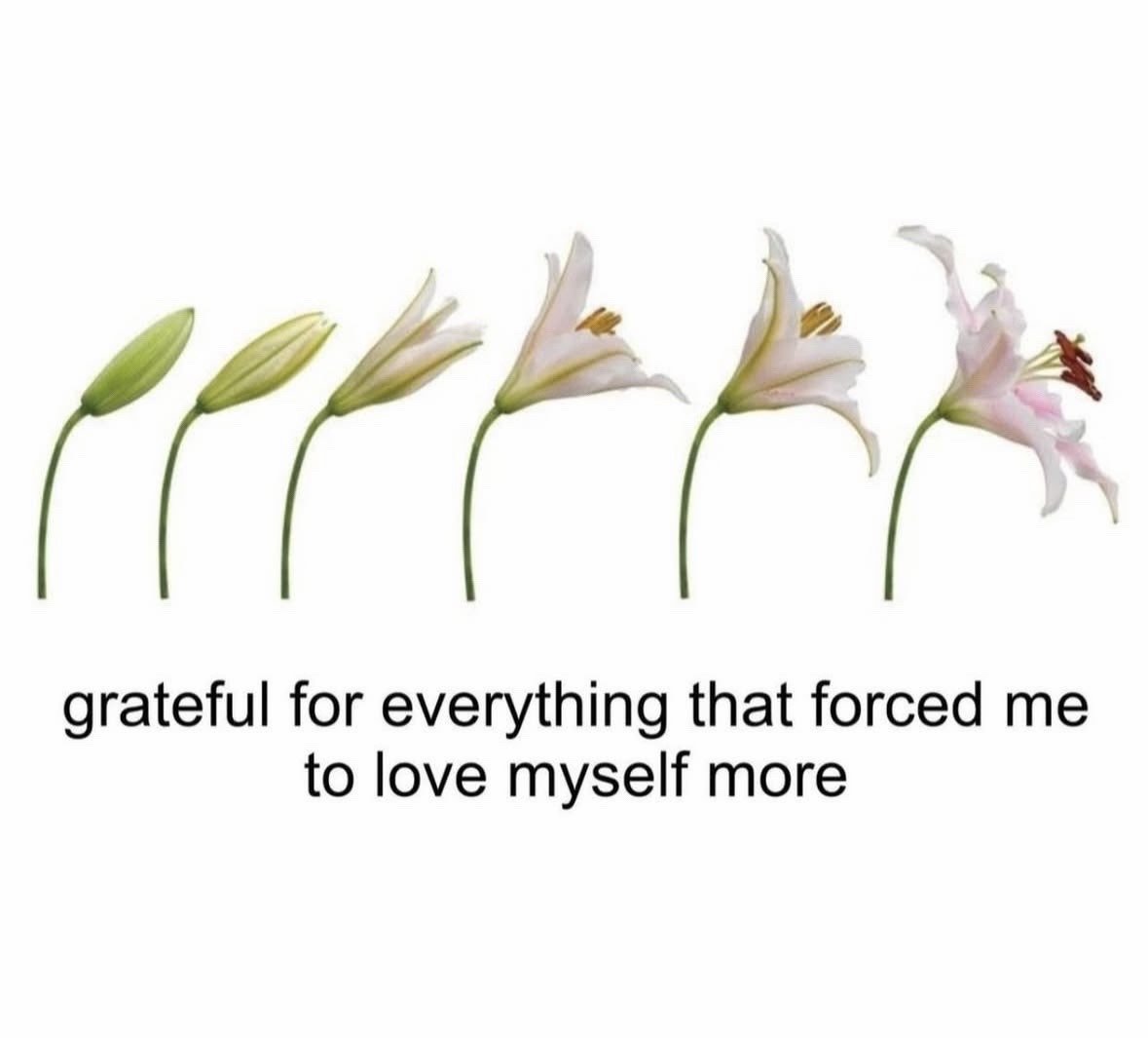 poetical photos. (@poeticalphotos) on Twitter photo 