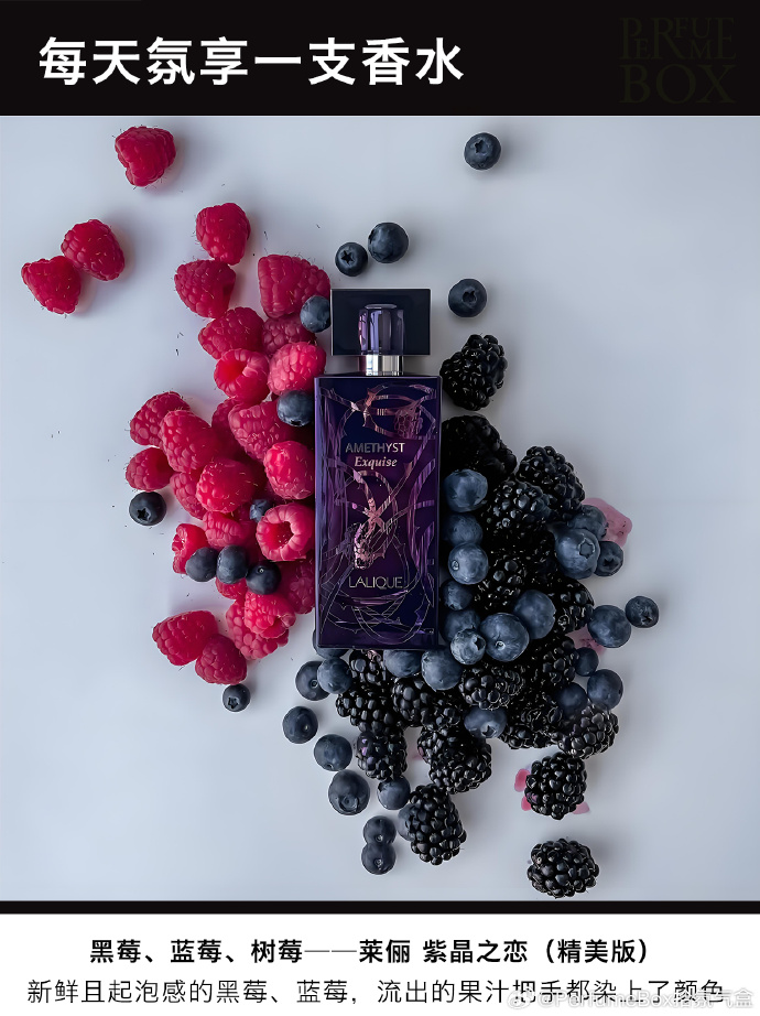 Crt Kelly tweet media