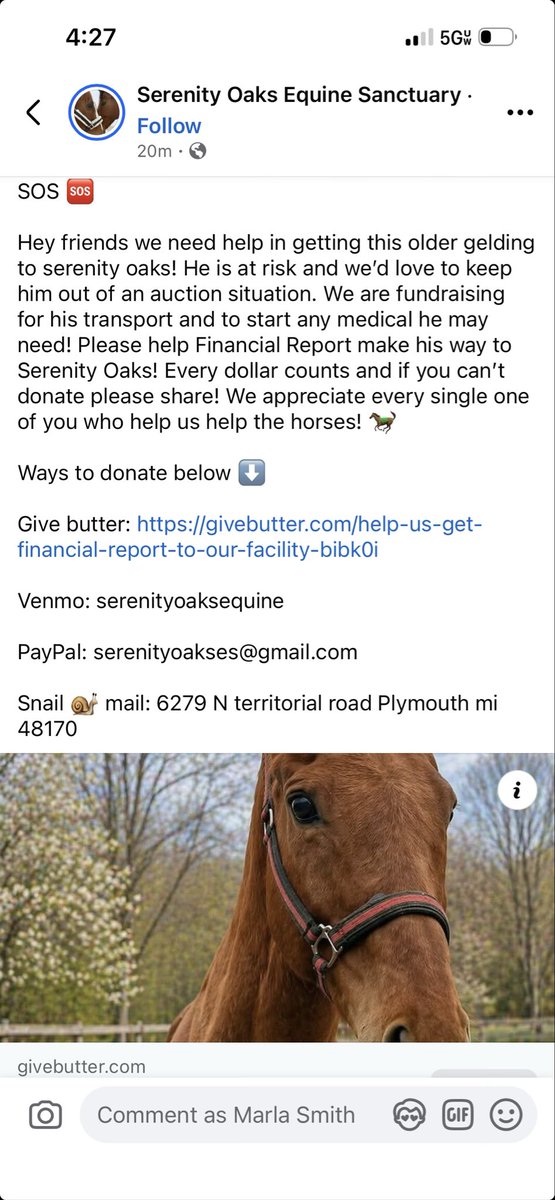 OTTB Sonny Woods tweet media