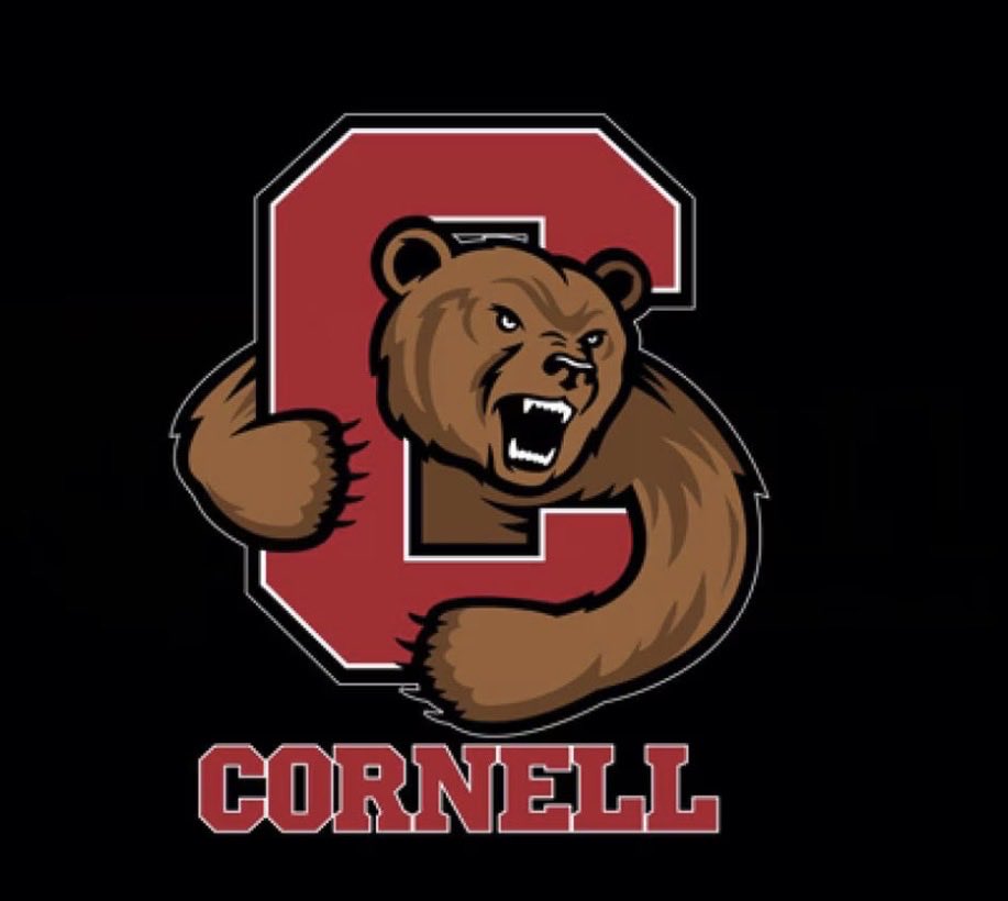 Gabriel Levin tweet media