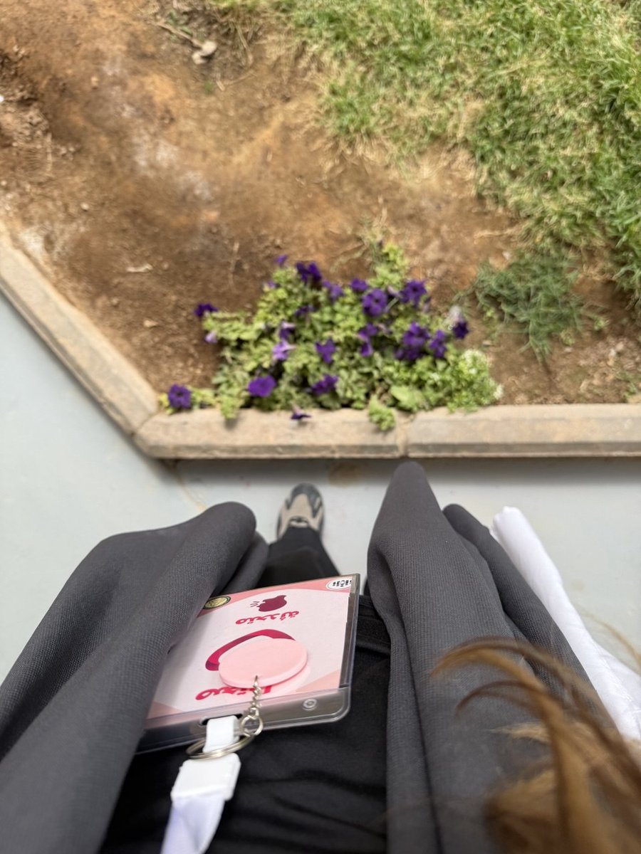 Alse6a's tweet image. حملة صحتها، البقاء للأقوى...
#NNS
#TIS
#RNS